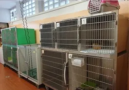 La sala della degenza con le gabbie